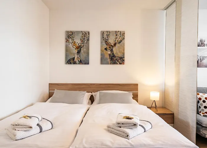 Appartement Billys Zentrum, Renoviert, Garage, Netflix