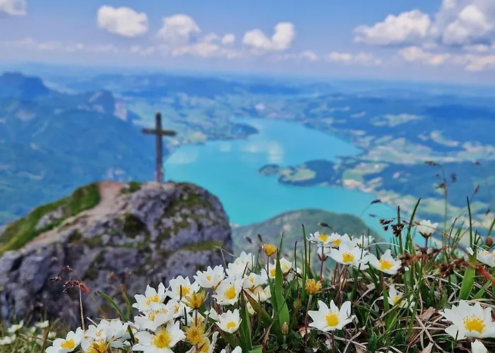 Billys Zentrum, Renoviert, Garage, Netflix Appartement *