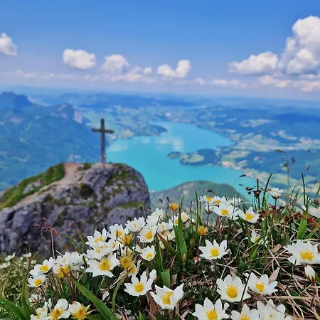 Billys Zentrum, Renoviert, Garage, Netflix Apartman *